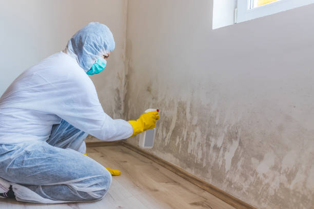 Licensed Crawl Space Mold Removal service in Preston, MD - WQB Mold Removal