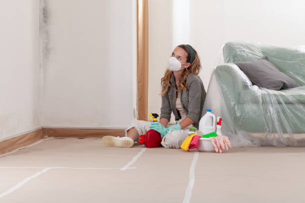 Reliable Crawl Space Mold Removal contractor in Preston, MD by WQB Mold Removal